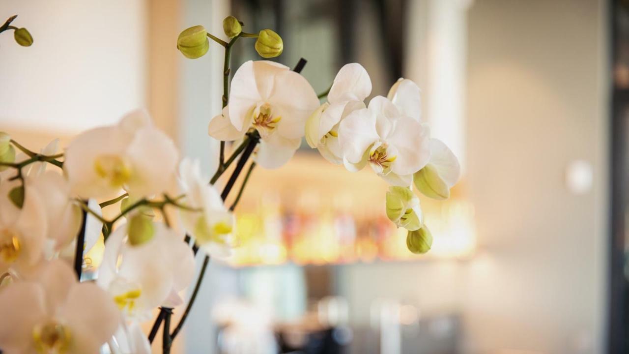Heuboden Hotel Heu.Loft Freiburg Umkirch Eksteriør bilde